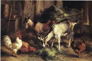 unknow artist poultry  160 oil painting image